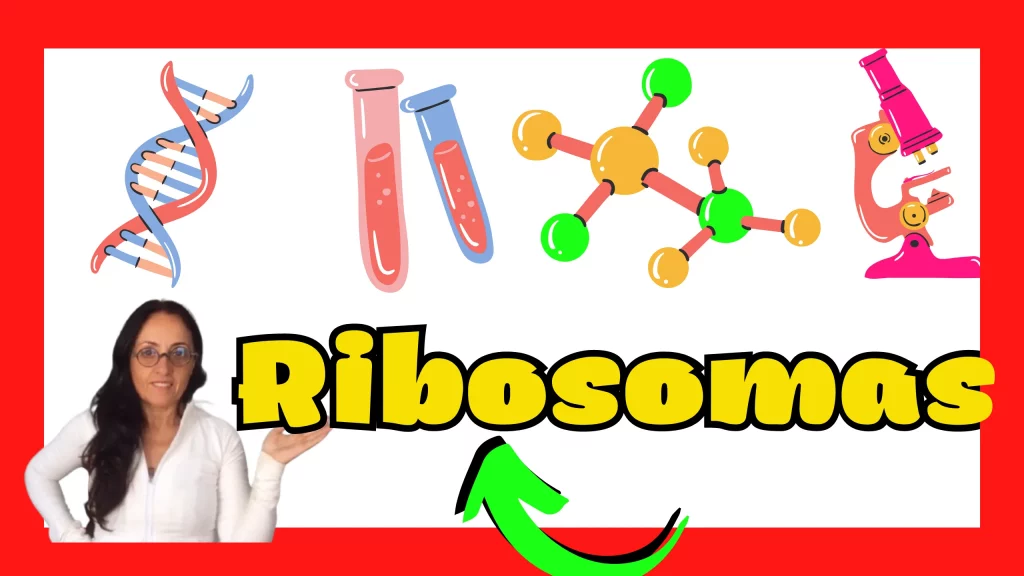 Ribosomas selectividad Andalucía